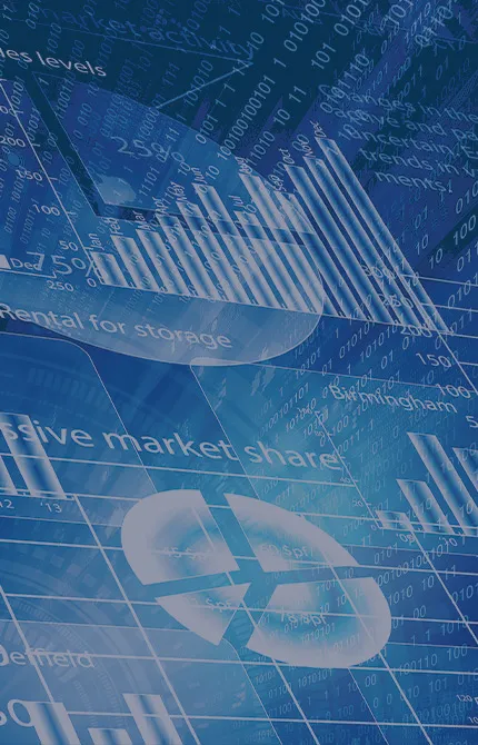 Mid-Year Portfolio Review