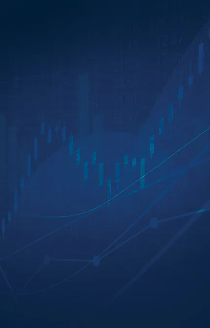 Mid-Year Portfolio Review